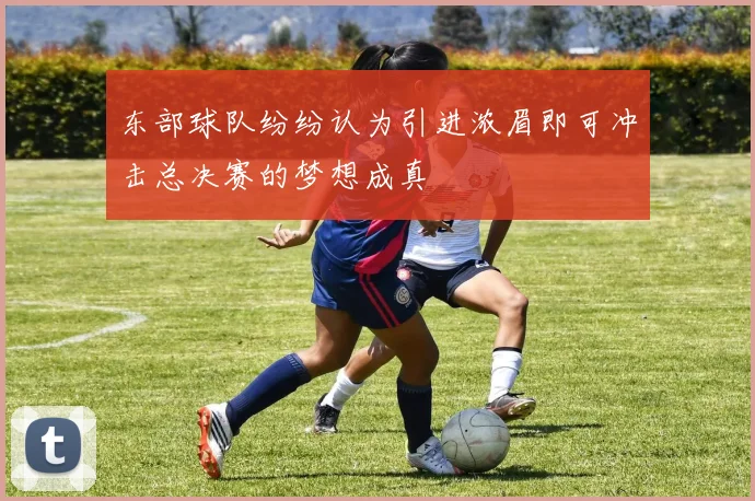 东部球队纷纷认为引进浓眉即可冲击总决赛的梦想成真
